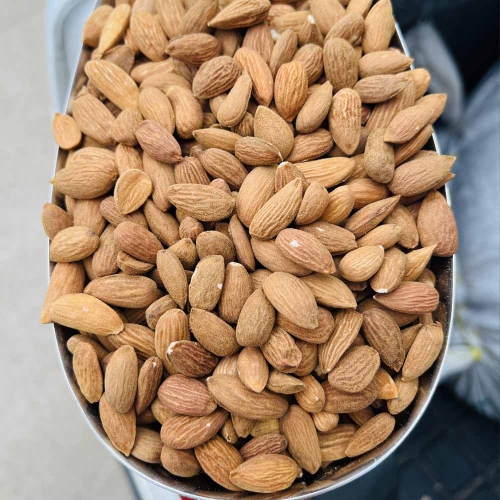 مغز بادام صادراتی